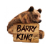 Barry King