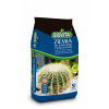 Ziemia Podłoże do kaktusów i sukulentów BIOVITA 5l