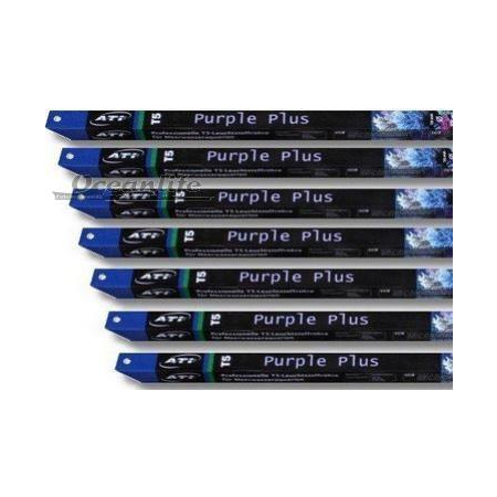 Ati Purple Plus