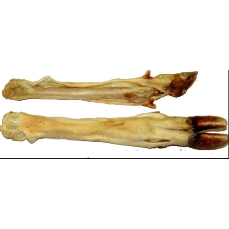 NOGA  JELENIA  BIAŁA Naturalne