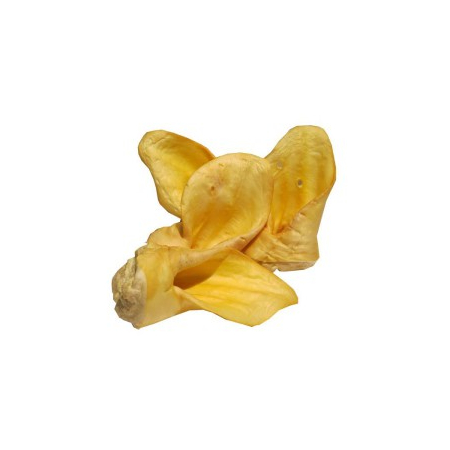 Abakus Naturalne Uszy Ucho wołowe białe