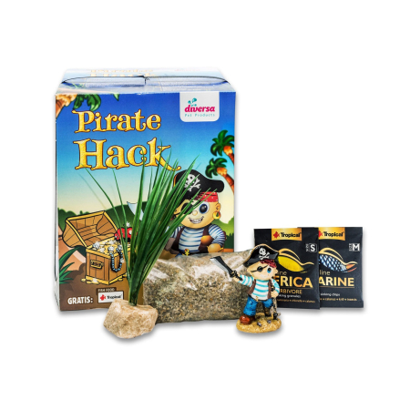 Akwarium 10L DIVERSA Zestaw Skarb Pirata 20x20x25cm