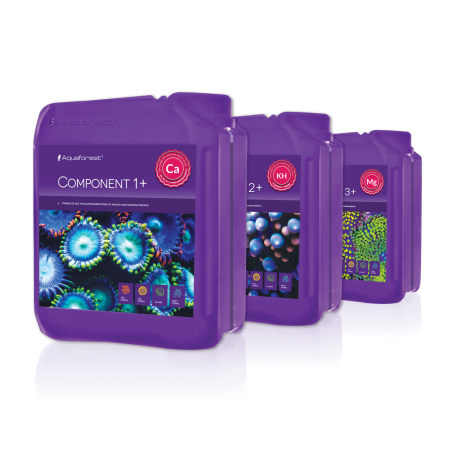 Component 1+ 2+ 3+  3x5L