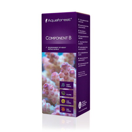 Component B 200ml