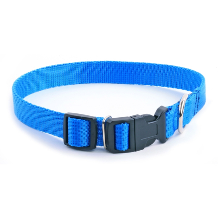 Obroża TAŚMA regulowana 10mm /30cm niebieska