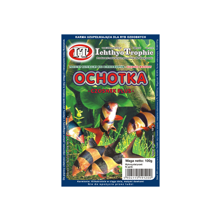 Ochotka