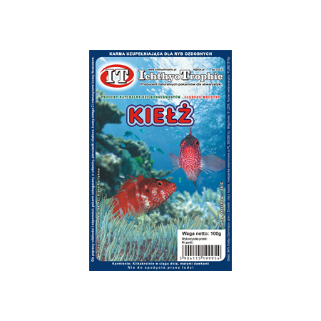 Kiełż - Gammarus