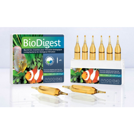 BioDigest  1 ampułka