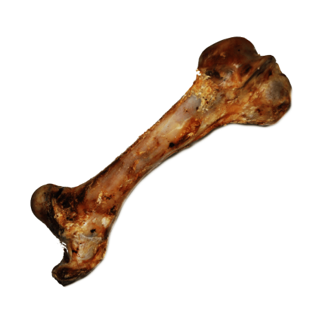 Kość szynkowa wędzona Naturalne