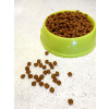 Purina Pro Plan Delicate - karma dla wybrednych kotów