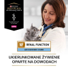 Pro Plan Veterinary NF Renal Function Advanced Care 350g