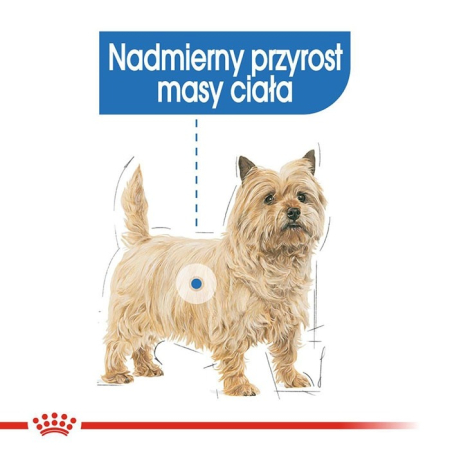 Royal Canin Light Weight Care 85g - saszetka
