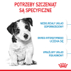ROYAL CANIN Mini Puppy 2kg - od 2 do 10 miesiąca życia, ras małych
