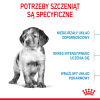 Royal Canin Medium Puppy 1kg - od 2 do 12 miesiąca życia, ras średnich
