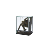 Terrarium dla Pająka / Ptaszników 20x20x30 cm 12L / 3mm DIVERSA