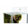 Terrarium dla Pająka / Ptaszników 20x20x30 cm 12L / 3mm DIVERSA