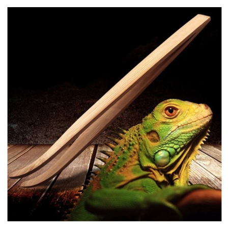 Repti-Zoo Pinceta Pęseta Bambusowa zagięta 28cm
