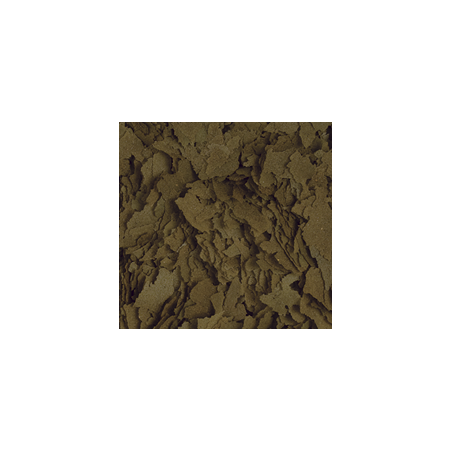 Tropical Spirulina Flakes 100 ml – Pokarm dla ryb ze spiruliną