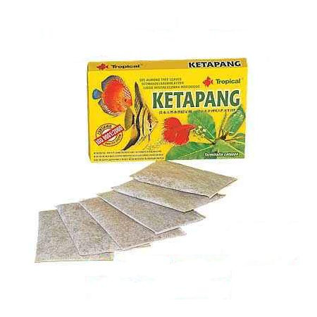 Tropical Ketapang Suszony 6x5g Migdałecznik właściwy