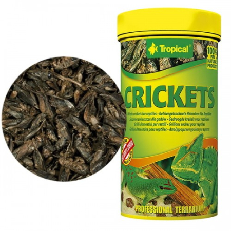 CRICKETS 10g - 100ml dla gadów oraz dużych ryb ozdobnych.