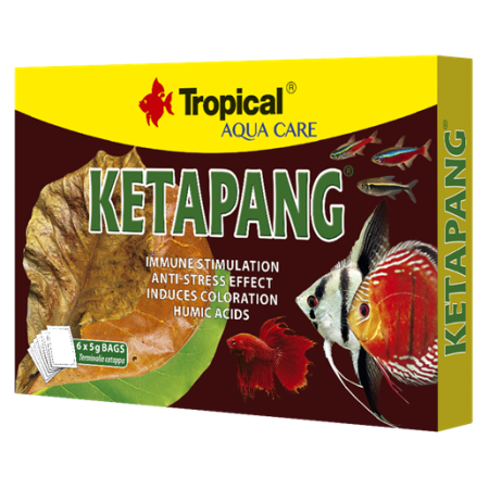 Tropical Ketapang Suszony 6x5g Migdałecznik właściwy