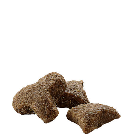 Versele Laga Complete Ferret pokarm dla fretki 750g