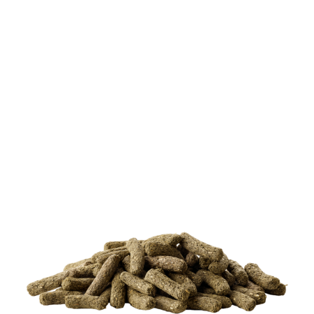 Versele Laga Complete CHINCHILLA & DEGU 500g