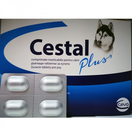 Cestal Plus tabletki na odrobaczanie psów
