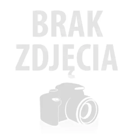 Żywa skała - płyta XL ok 4,1kg