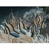 PTERAPOGON KAUDERNI - Apogon kardynał